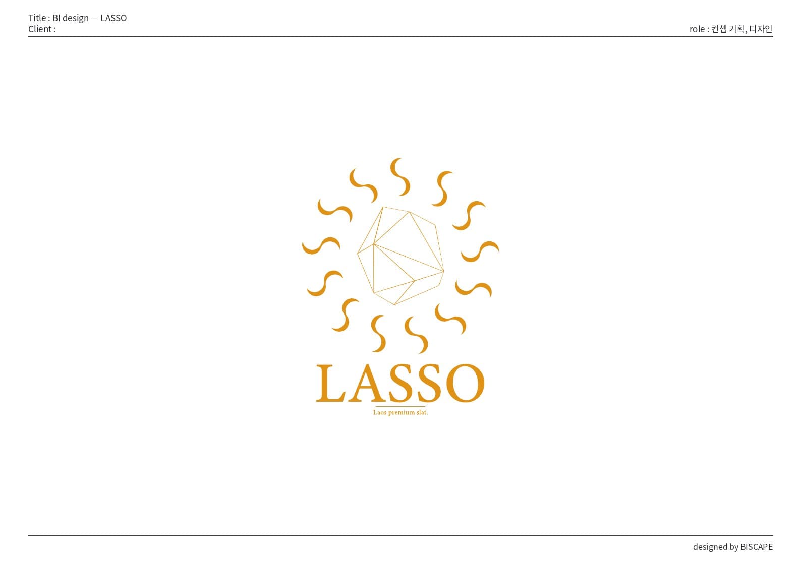 BI 디자인 — LASSO